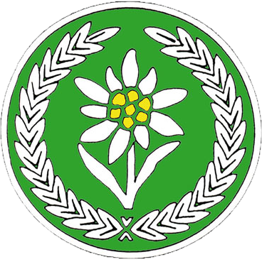 Link 4